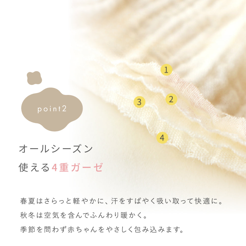 くまポンガーゼ