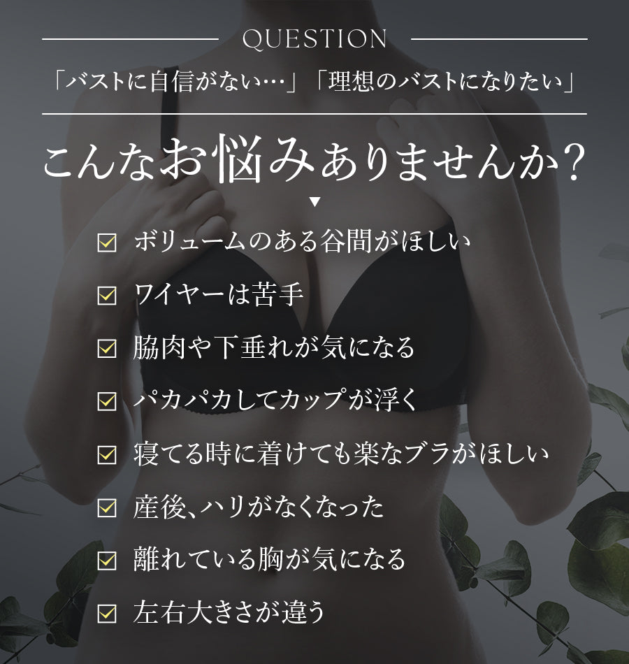 レースブラショーツ2セット