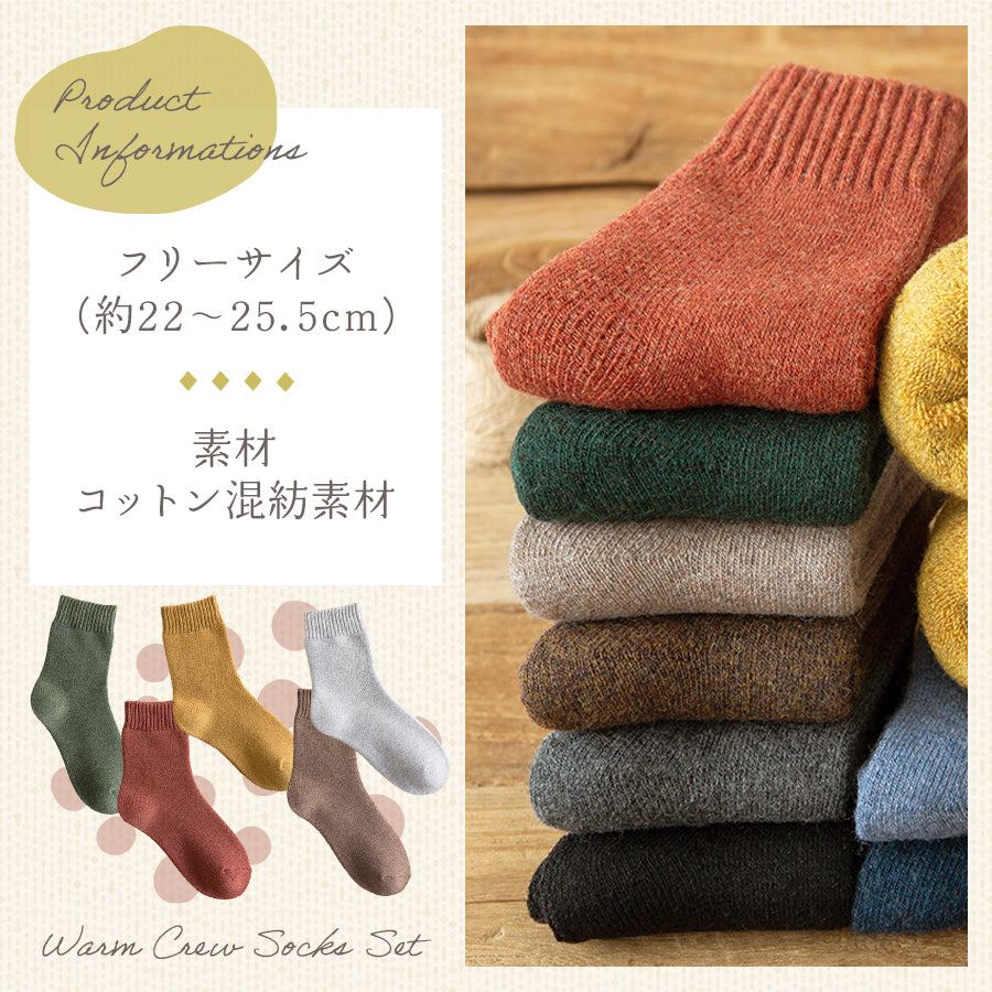 レディース無地厚手靴下5足